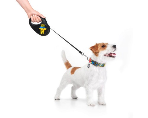 Повідець для собак WAUDOG R-leash Дім світловідбиваюча стрічка S 5 м (8124-0230-01)