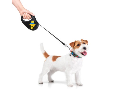Повідець для собак WAUDOG R-leash Дім світловідбиваюча стрічка S 5 м (8124-0230-01)