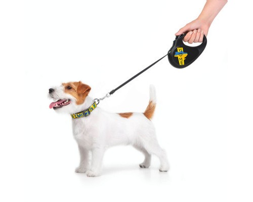 Повідець для собак WAUDOG R-leash Дім світловідбиваюча стрічка S 5 м (8124-0230-01)