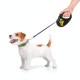 Повідець для собак WAUDOG R-leash Дім світловідбиваюча стрічка S 5 м (8124-0230-01)