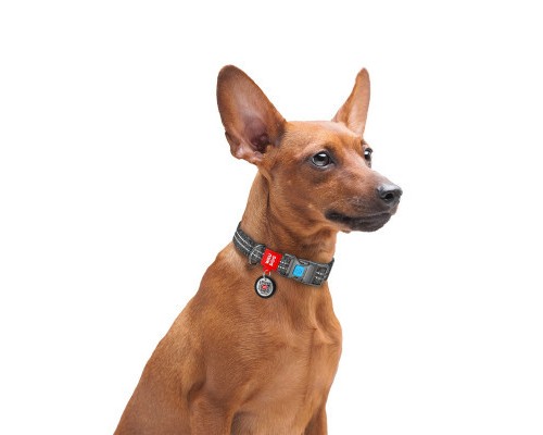 Нашийник для тварин WAUDOG Re-cotton з QR паспортом світловідбивний Ш 20 мм Д 28-40 см сірий (028811)