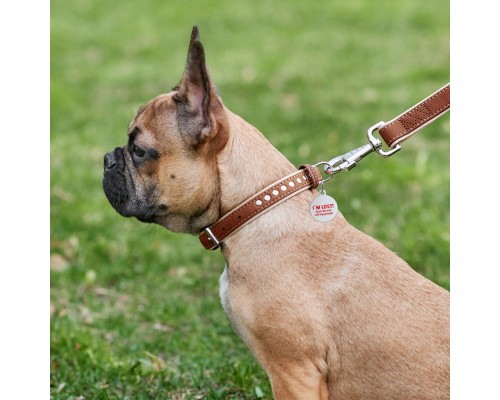 Нашийник для тварин WAUDOG Soft з QR паспортом металічні прикраси XS коричневий (7195)