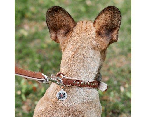 Нашийник для тварин WAUDOG Soft з QR паспортом металічні прикраси XS коричневий (7195)