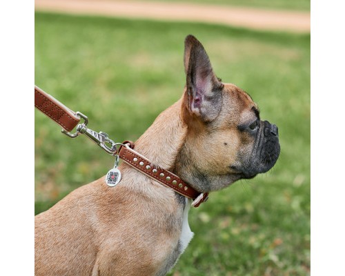 Нашийник для тварин WAUDOG Soft з QR паспортом металічні прикраси XS коричневий (7195)