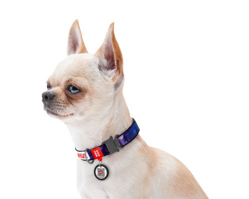 Нашийник для тварин WAUDOG Nylon з QR-паспортом 