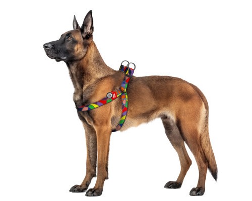 Шлея для собак WAUDOG Nylon з QR паспортом 