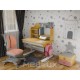 Парта з кріслом Mealux Timberdesk S (парта + крісло + тумба) (BD-685 S+ box BD 920-2 PN+Y-115 PG)