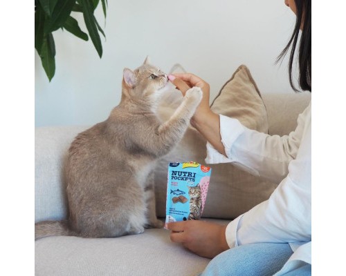 Ласощі для котів GimCat Nutri Pockets Fish Лосось 60 г (4002064419626)