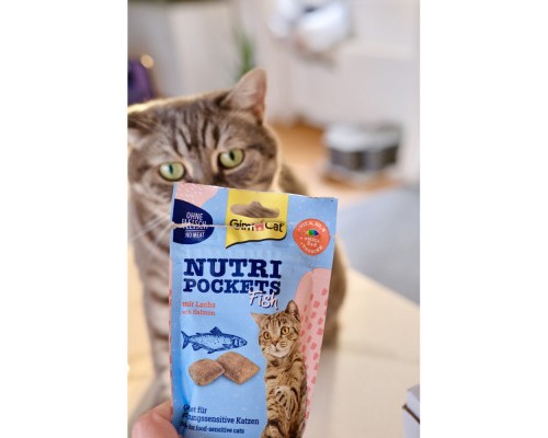 Ласощі для котів GimCat Nutri Pockets Fish Лосось 60 г (4002064419626)