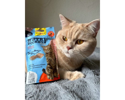 Ласощі для котів GimCat Nutri Pockets Fish Лосось 60 г (4002064419626)