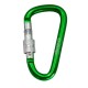 Карабін туристичний Tramp Набір 10 шт з муфтою 7 cм Green (UTRA-302-green)