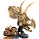 Конструктор LEGO Jurassic World Скам''янілості динозаврів: череп трицератопса (76969)