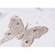 Футболка дитяча Breeze з метеликом з паєток (11055-140G-cream)