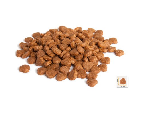 Сухий корм для кішок BonaCibo Adult Cat Lamb&Rice 2 кг (8694686406120)