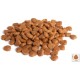 Сухий корм для кішок BonaCibo Adult Cat Lamb&Rice 2 кг (8694686406120)