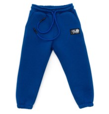 Штани дитячі Cloise спортивні флісові (CL0154024-104G-blue)