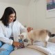 Ласощі для котів GimCat Nutri Pockets Fish Тунець 60 г (4002064419633)