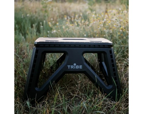 Стілець складаний Tribe Camp Chair Low пластиковий Black (T-EF-0001-black)