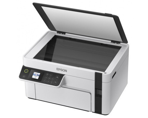 Багатофункціональний пристрій Epson M2110 (C11CJ19401) 