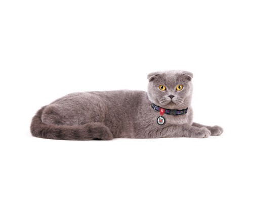 Нашийник для тварин WAUDOG Nylon з QR паспортом 