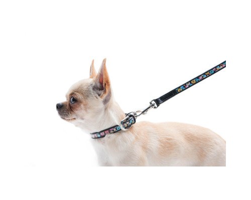 Нашийник для тварин WAUDOG Design з QR паспортом 