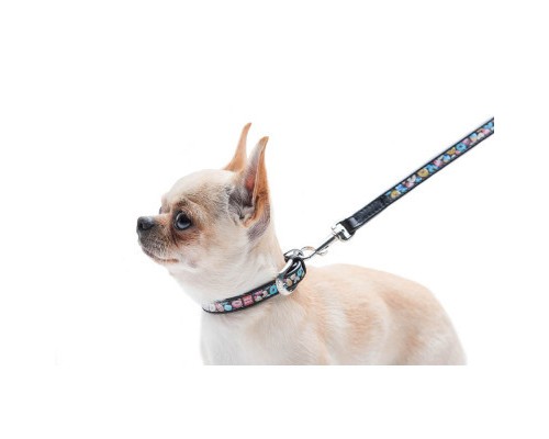 Нашийник для тварин WAUDOG Design з QR паспортом 