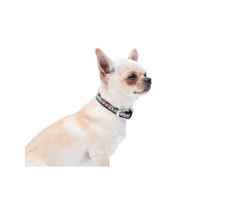 Нашийник для тварин WAUDOG Design з QR паспортом 