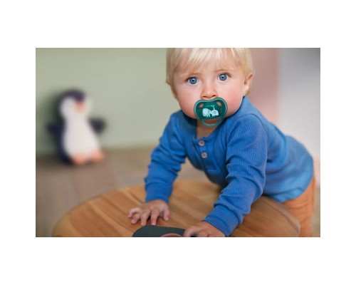 Пустушка Philips AVENT Ultra Air, 18+ міс. 2 шт (SCF349/18) Пустушка Philips AVENT Ultra Air, 18+ міс. 2 шт (SCF349/18)