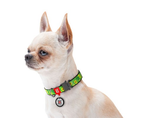 Нашийник для тварин WAUDOG Nylon з QR-паспортом 