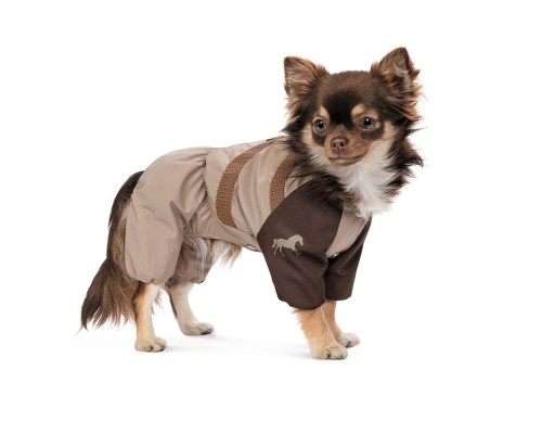 Дощовик для тварин Pet Fashion Mustang S2 (4823082435081)