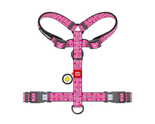 Шлея для собак WAUDOG Nylon анатомічна H-подібна з QR-паспортом 