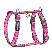 Шлея для собак WAUDOG Nylon анатомічна H-подібна з QR-паспортом 