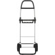 Сумка-візок Rolser Big Polar 2L Negro (BIG004-1023) (931703)