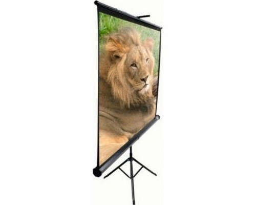 Проекційний екран T120NWV1 Black Cas Elite Screens (T120NWV1) Проекційний екран T120NWV1 Black Cas Elite Screens (T120NWV1)