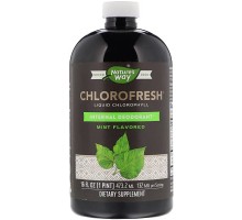 Трави Nature's Way Рідкий Хлорофіл, Liquid Chlorophyll, (м'ятний смак), 473 мл (NWY03501)