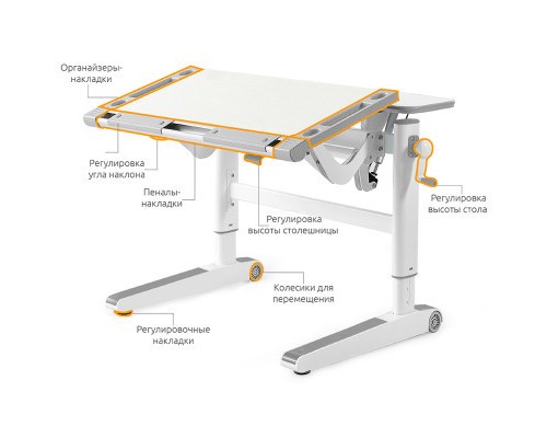 Парта Mealux Ergowood L (BD-810 W/G)