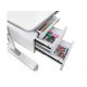 Парта Mealux Hamilton Multicolor Pink (BD-680 W/G MC+PN з полицею)