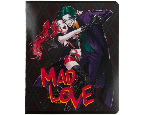 Зошит Kite DC Comics 24 аркушів, лінія (DC23-239)