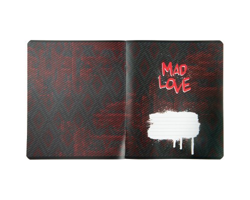 Зошит Kite DC Comics 24 аркушів, лінія (DC23-239)