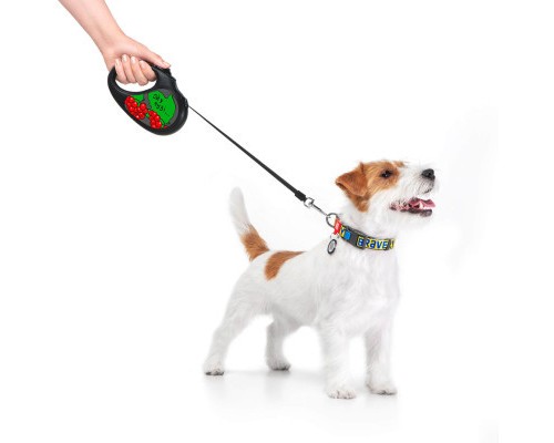 Повідок для собак WAUDOG R-leash Калина світловідбиваюча стрічка M 5 м (8125-0228-01)
