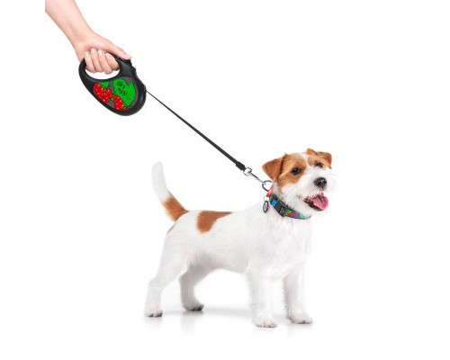 Повідок для собак WAUDOG R-leash Калина світловідбиваюча стрічка M 5 м (8125-0228-01)