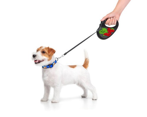 Повідок для собак WAUDOG R-leash Калина світловідбиваюча стрічка M 5 м (8125-0228-01)