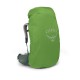 Рюкзак туристичний Osprey Aura AG LT 65 koseret/darjeeling spring green WM/L (009.3289)