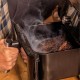 Мультипіч Cecotec CECOFRY SMOKINDUO/6000 (CCTC-03488)