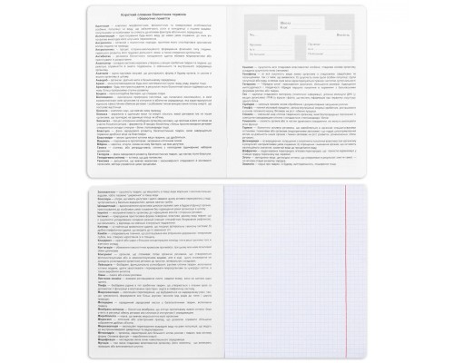 Зошит Yes набір учнівських Elegant набір 9 видів (767486)