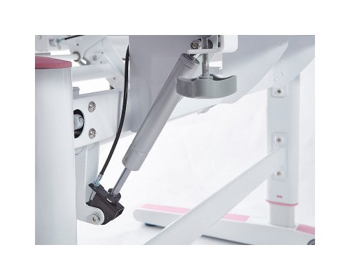 Парта Mealux Ergowood M MG/BL (BD-800 MG/BL)