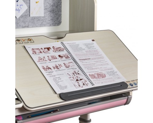 Парта з кріслом Mealux Winnipeg MG/PN + Omega KP (BD-630 MG/PN+Y-220 KP)