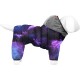 Комбінезон для тварин Collar WAUDOG Clothes 