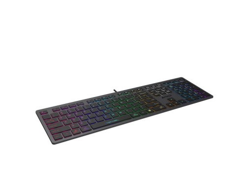 Клавіатура A4Tech FX60H USB Grey Neon backlit