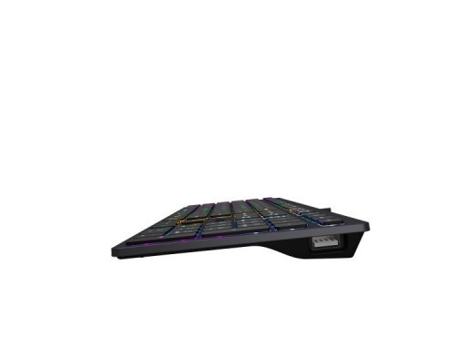 Клавіатура A4Tech FX60H USB Grey Neon backlit